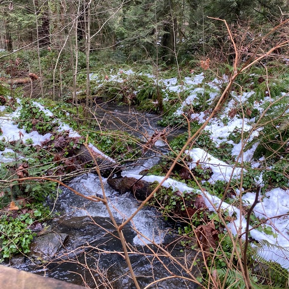 Meet your Posher, Hannah - Picture 1 of 1